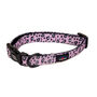 Funk The Dog Collar Pink Leopard, thumbnail 1 of 3