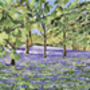 Bluebells, Enys Gardens, Cornwall, Collage Art Print, thumbnail 2 of 6