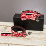 Christmas Red Festive Dog Collar Bow Tie Lead Gift Set, thumbnail 1 of 6