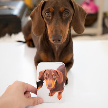 Personalised Photo Dog Pet Treat Tin, 4 of 10
