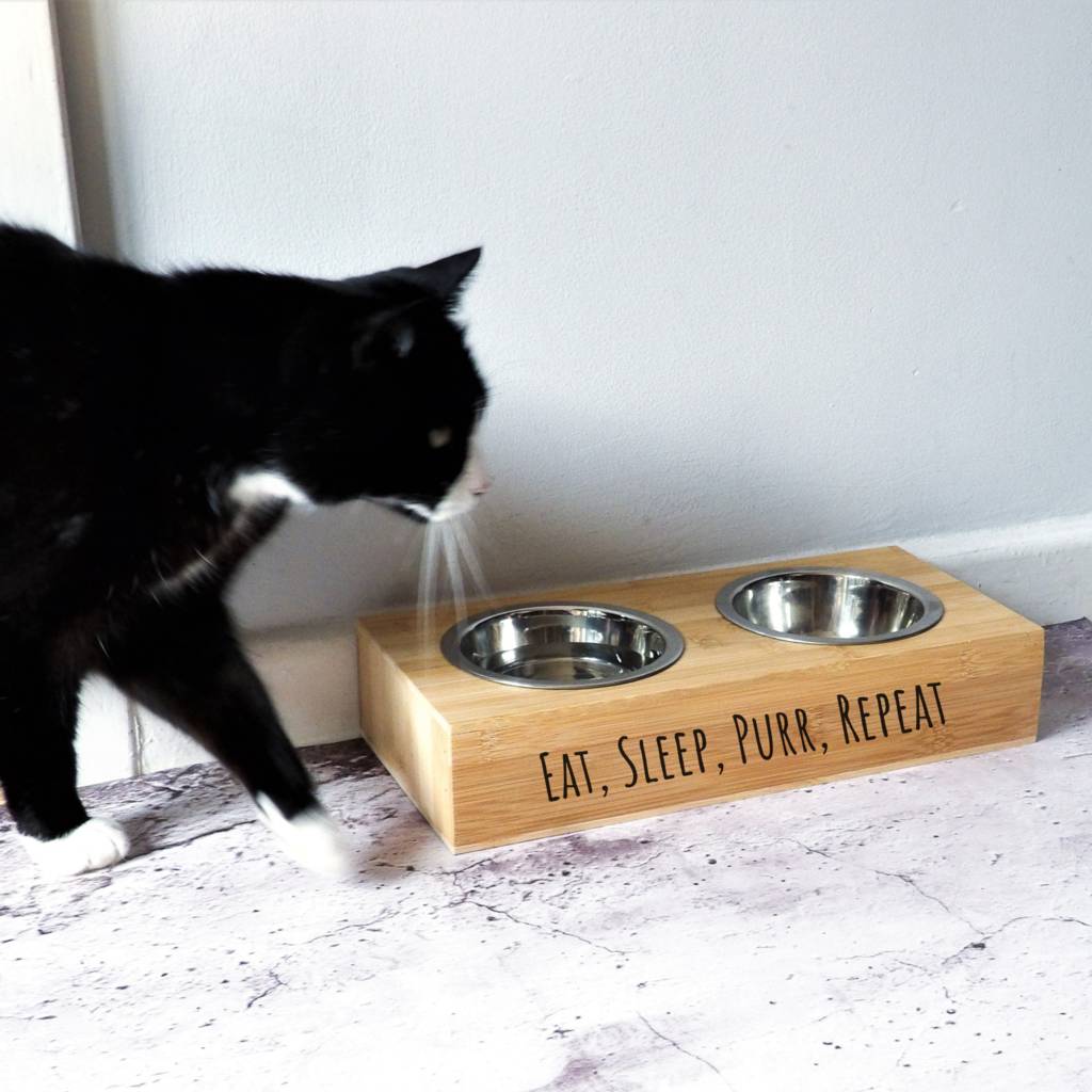personalised-cat-bowl-by-edgeinspired-notonthehighstreet