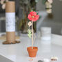 Wooden Flower Stem With Personalised Terracotta Pot, thumbnail 7 of 7