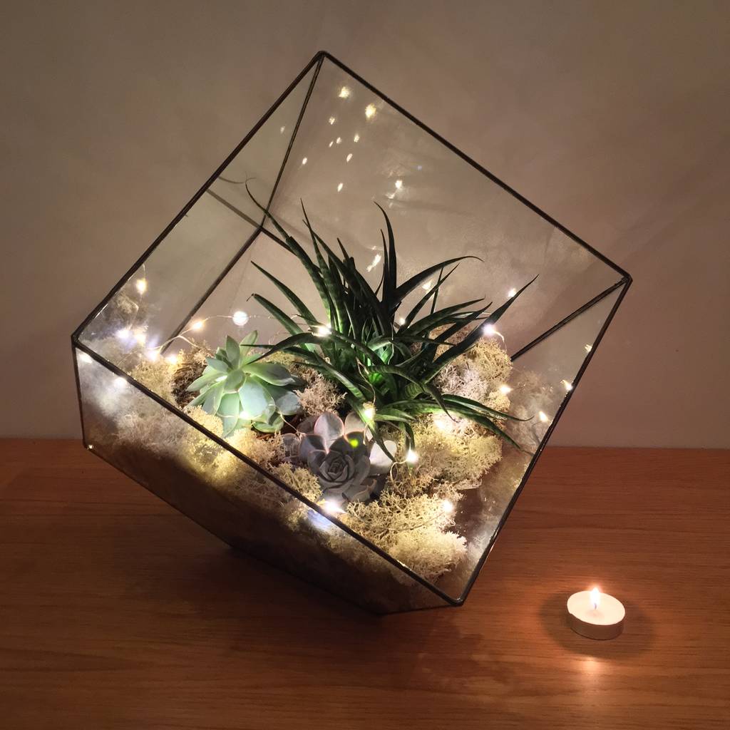 Image of Oversized Aztec Cube Terrarium Fully Assembled