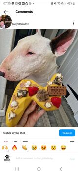 Afternoon Tea Doggy Biscuits, 9 of 11