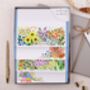 Picnic And Flowers Writing Paper Gift Box Set, thumbnail 1 of 4