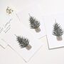 'Simple Christmas Tree' Pack Of Six Flat Notecards, thumbnail 3 of 5