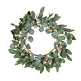 Winter Botanicals Eucalyptus Sparkle Wreath, thumbnail 2 of 6