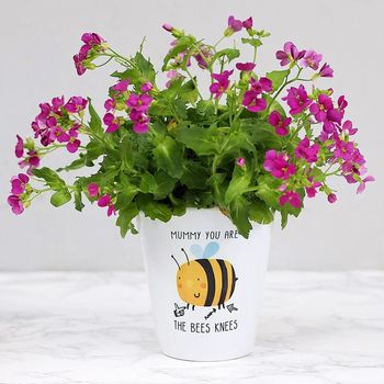 Mummy You Are The Bees Knees Plant Pot, 4 of 5