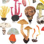 Mushroom And Toadstools Print, thumbnail 6 of 8