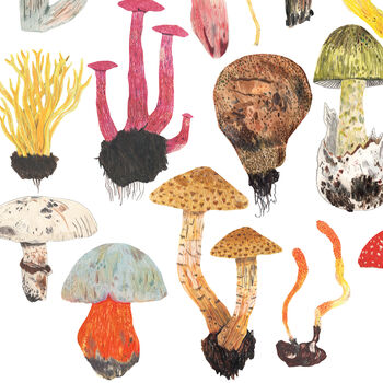 Mushroom And Toadstools Print, 6 of 8