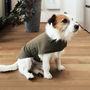 All Weather Dog Coat, With Carry Pouch, thumbnail 3 of 12