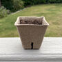 Seeder, Seedling Pots And Watering Nozzle Kit, thumbnail 3 of 9