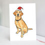 Fox Red Labrador Christmas Hat, thumbnail 1 of 6