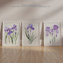 Set Three Wall Art Prints Iris Floral Flowers Purple, thumbnail 6 of 7