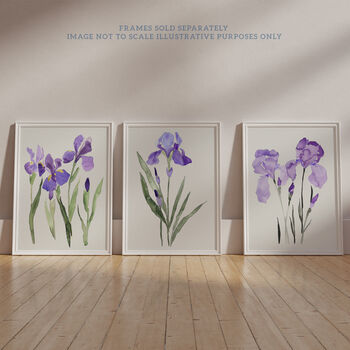 Set Three Wall Art Prints Iris Floral Flowers Purple, 6 of 7