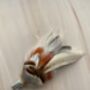 Feather Hair Clip Burnt Orange Reeves Pheasant 'Millie', thumbnail 2 of 6