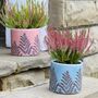 Botanical Fern Ceramic Plant Pots, thumbnail 1 of 8