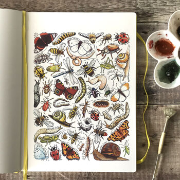Garden Insects Of Britain Wildlife Print, 4 of 7