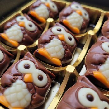 Praline Owl Autumn Chocolate Box, 2 of 2