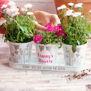 Personalised Flower Tray And Pots, 2 of 5