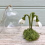 Paper Snowdrop Tiny Terrarium With Gift Tag And Box, thumbnail 3 of 11