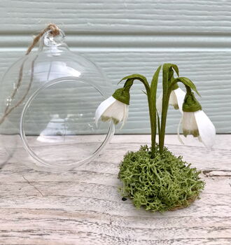 Paper Snowdrop Tiny Terrarium With Gift Tag And Box, 3 of 11
