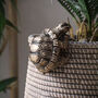 Gold Tortoise Pot Hanger, thumbnail 3 of 3