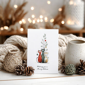 Pack Of Four Funny Cats Christmas Cards: Four Different Designs, 5 of 6