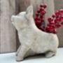 Adorable Pig Plant Pot Stone Indoor Planter Fun Pig Gift, thumbnail 6 of 10