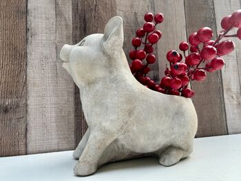 Adorable Pig Plant Pot Stone Indoor Planter Fun Pig Gift, 6 of 10