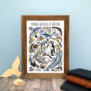 Marine Wildlife Of Britain Greeting Card, 8 of 8