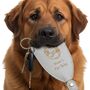 Personalised Dog Lover Key Holder Gift Engraved Name, thumbnail 1 of 12