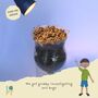 Children's Eco Activity Box: Incredible Insects, thumbnail 9 of 12