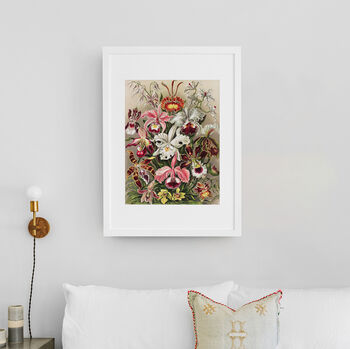 Floral Orchids Vintage Style Art Print, 3 of 4
