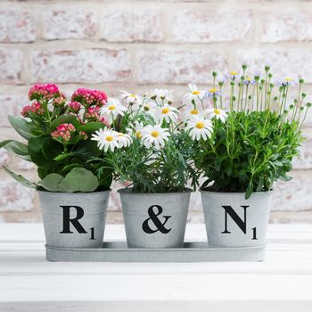 Three Personalised Planters In A Tray, 3 of 5