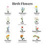 Family Birth Flower 3D Framed Print, thumbnail 3 of 5