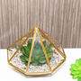 Large Diamond Glass Succulent Terrarium, thumbnail 6 of 8
