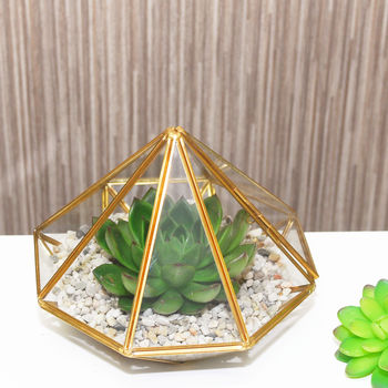 Large Diamond Glass Succulent Terrarium, 6 of 8