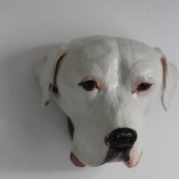 Wall Mounted Pet Head Sculpture, 7 of 9