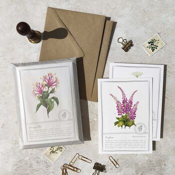 Botanical Wildflowers Postcards Gift Set, 3 of 10