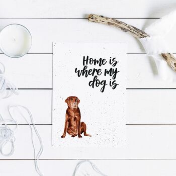 Home Is Where My Dog Is Chocolate Labrador Print, 2 of 6