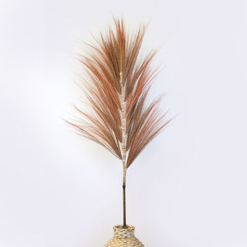 Coral Rayung Pampas Grass Set, 5 of 10