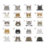 Personalised Cat Adventures Pop Out Photo Box, thumbnail 6 of 10