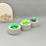 Green Succulent Candles In Handmade Concrete Pots, thumbnail 1 of 12