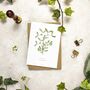 Christmas Botanical Note Card Set, thumbnail 2 of 6