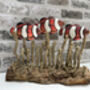 Hand Carved Wooden Clownfish Shoal Ornament, thumbnail 3 of 10