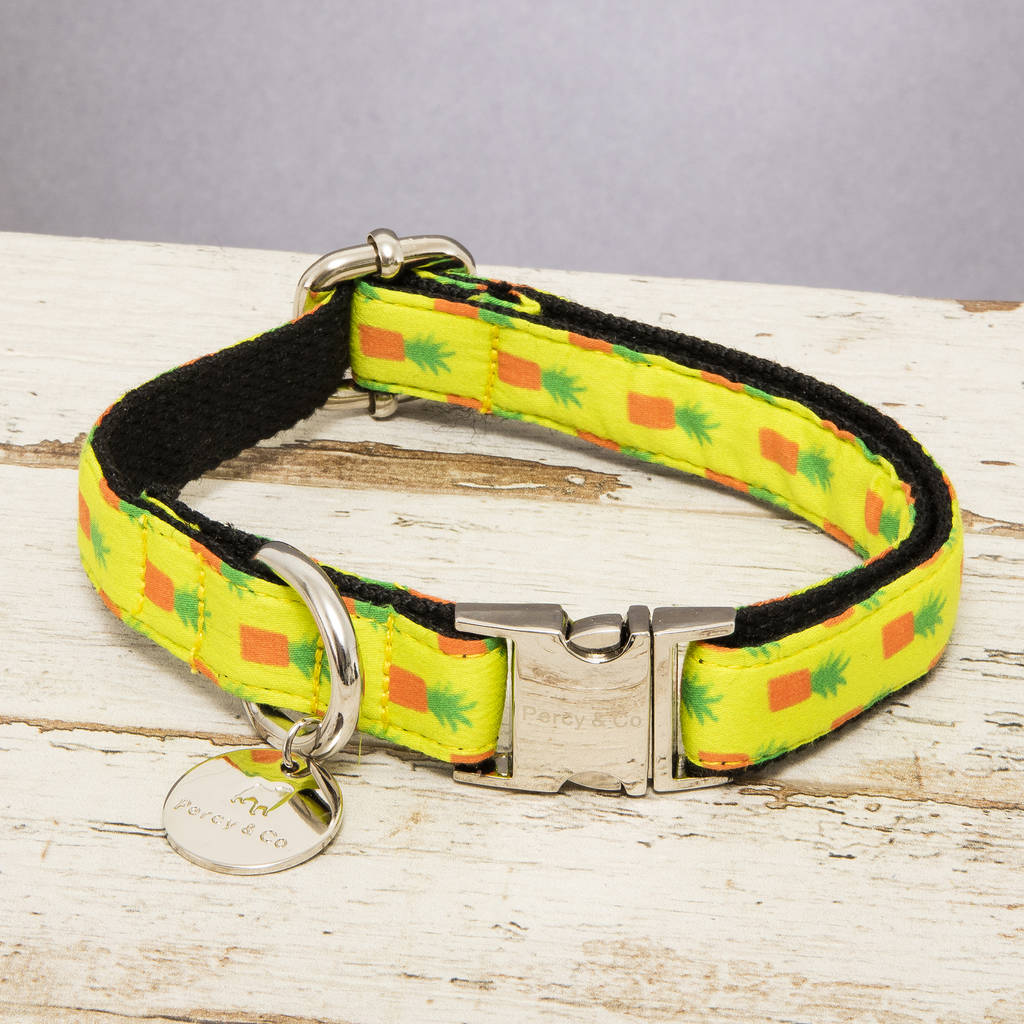 pineapple dog collar