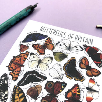 Butterflies Of Britain Illustrated Postcard, 6 of 10
