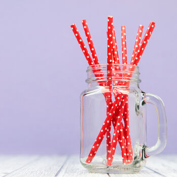 Spotty Paper Party Straws, 10 of 10