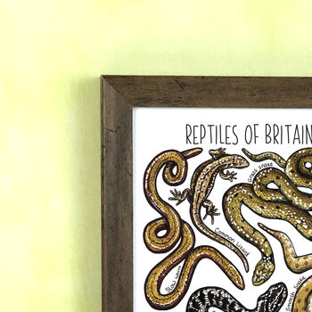 Reptiles Of Britain Wildlife Print, 2 of 8